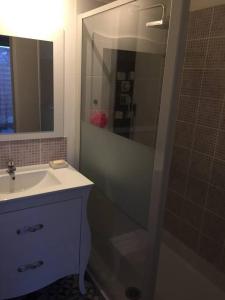een badkamer met een douche, een wastafel en een spiegel bij Le Chapitre, au calme de Senlis in Senlis
