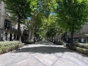 une rue bordée d'arbres dans une ville avec des bâtiments dans l'établissement Mirador de Lindaraja (vistas a la Alhambra), à Grenade
