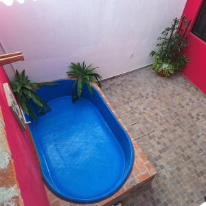 Una gran bañera azul en una habitación con plantas en Hospedaje Guadalajara, en Guadalajara