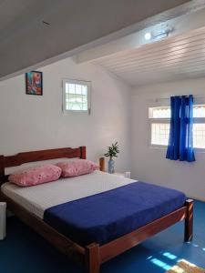 um quarto com uma cama com lençóis azuis e almofadas cor-de-rosa em Hostel 7 praias em Ubatuba