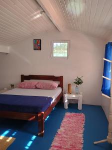 a bedroom with a bed and a rug and a window at Hostel 7 praias in Ubatuba
