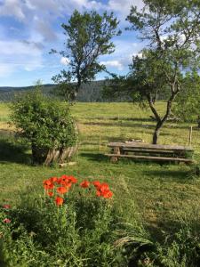 un banco de parque en medio de un campo con flores en LaTerestone 