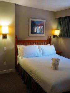 Cozy apartment in the heart of Panorama في بانوراما: وجود دبدوب يجلس على سرير في غرفة الفندق