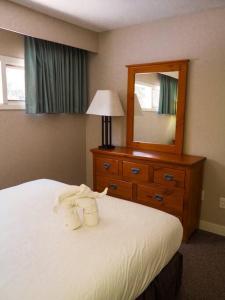 um quarto com uma cama com uma cómoda e um espelho em Cozy apartment in the heart of Panorama em Panorama