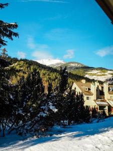 a building in the snow with trees and a mountain w obiekcie Cozy apartment in the heart of Panorama w mieście Panorama