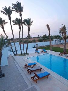 a swimming pool with benches and palm trees at Maison Rachid Djerba in El Guecheïne
