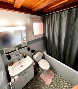uma casa de banho com um lavatório, um WC e um chuveiro em Villars Soleil em Villars-sur-Ollon
