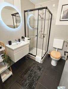 La salle de bains est pourvue d'une douche, de toilettes et d'un lavabo. dans l'établissement Ferienwohnung Alpinstar, à Oberstaufen