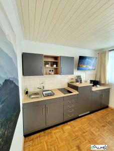 - une cuisine avec un évier et un comptoir dans l'établissement Ferienwohnung Alpinstar, à Oberstaufen