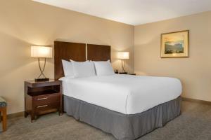 Postel nebo postele na pokoji v ubytování Best Western Plus Monterey Inn