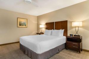 Postel nebo postele na pokoji v ubytování Best Western Plus Monterey Inn