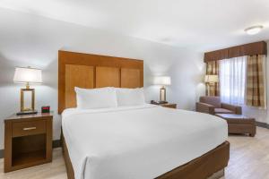 a bedroom with a large white bed and a chair at Best Western Plus El Paso Airport Hotel & Conference Center in El Paso +28 photos