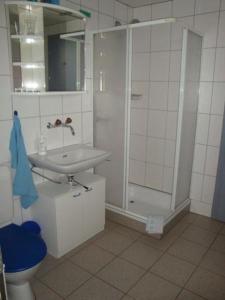bagno con doccia, lavandino e servizi igienici di Alphütte Chilchschwand - b48558 a Stalden