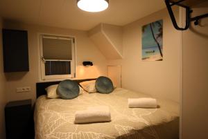 1 dormitorio con 1 cama con 2 almohadas en Houseboat Trinidad, en Maastricht