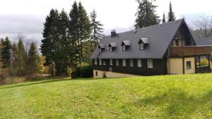 ein Haus mit einem schwarzen Dach auf einem grasbewachsenen Hügel in der Unterkunft Appartement in Vordorfermühle mit Garten - b48518 in Tröstau