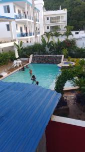 een zwembad met twee honden in het water bij Tropical Doña Mayra apartahotel in Las Terrenas