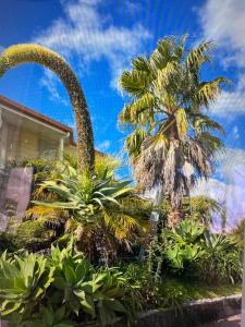 a group of palm trees in front of a house at Delight at Golf in Auckland