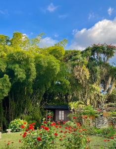 a small house in a garden with red flowers at Gue Guatok in Salento
