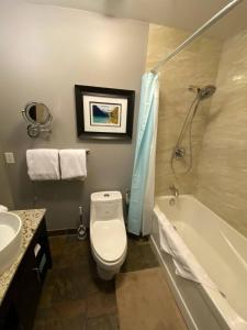 a bathroom with a toilet and a tub and a sink at Sweet Condo Canmore GR：） in Canmore +17 photos