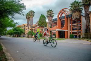 two people riding bikes down a street with palm trees at Hotel Viña del Sur in Tarija