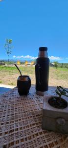 a pot and a potted plant sitting on a table at Cabañas Potrero de Marquez in Potrero de Garay