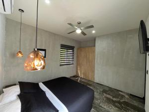 TV a/nebo společenská místnost v ubytování Hotel Suites La Negra