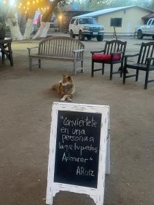 um gato sentado ao lado de uma placa em frente aos bancos em CASA AUM VALLE DE GPE em Villa de Juárez