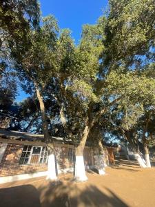 Gambar di galeri bagi CASA AUM VALLE DE GPE di Villa de Juárez