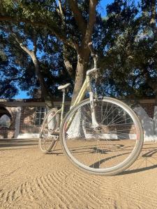 uma bicicleta branca estacionada em frente a uma árvore em CASA AUM VALLE DE GPE em Villa de Juárez