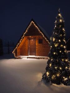 a christmas tree in front of a cabin with lights at Blue Village 8 in Kolašin