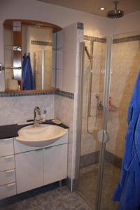 a bathroom with a sink and a shower at 1 12 Zi Wohnung mit persönlichem Charme - b48574 in Vulpera