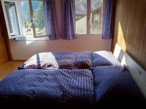 łóżko z 2 poduszkami w pokoju z oknami w obiekcie EmmeCottage - b48613 w mieście Trubschachen
