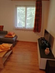 ein Wohnzimmer mit einem Sofa und einem TV in der Unterkunft Ferienhaus Luegisland - b48622 in Giswil