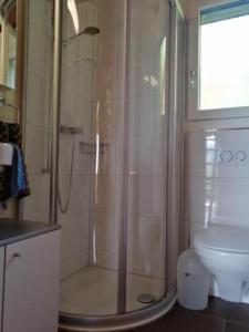 ein Bad mit einer Dusche und einem WC in der Unterkunft Ferienhaus Luegisland - b48622 in Giswil