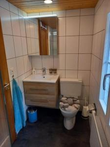 a bathroom with a toilet and a sink and a mirror at Ferienwohnung Langberg - b48588 in Lauerz