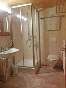 uma casa de banho com um chuveiro, um WC e um lavatório. em Maria Magdalena 2-Bett-Wohnung - b48630 em Hohfluh