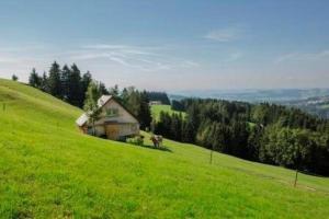 ein Haus an der Seite eines grünen Hügels in der Unterkunft "Hüttli" neben dem Bauernhof Fendrig - b48572 in Haslen