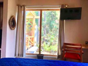 1 dormitorio con cama azul y ventana grande en Cabaña Roble, en San Cristóbal de Las Casas