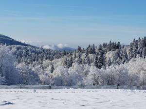 Fotografia z galérie ubytovania Superbe appartement lumineux avec terrasse, 3 chambres, proche des commerces et stations de ski - FR-1-589-431 v destinácii Le Thillot