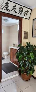 a bathroom with a toilet and a potted plant at Lujosa Casa en Centro de Santa Cruz in Santa Cruz de la Sierra