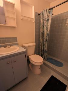 uma casa de banho com um WC, um lavatório e um chuveiro em Hospedaje North Miami em North Miami