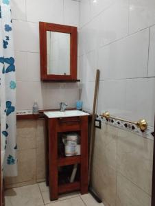 a bathroom with a sink and a mirror and a shower at CHE LOLITA HOUSE 2 in Buenos Aires