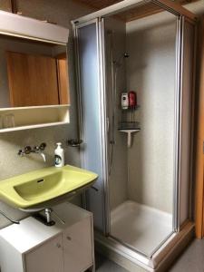 a bathroom with a shower and a yellow sink at Ferienwohnung Fischbachboden - b48793 in Röthenbach