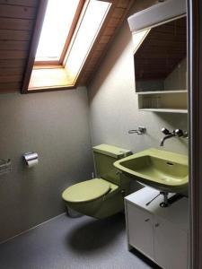 a bathroom with a green toilet and a sink at Ferienwohnung Fischbachboden - b48793 in Röthenbach