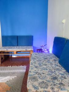 ein Wohnzimmer mit einem Sofa und einer blauen Wand in der Unterkunft Canastra Hostel e Camping - quartos in Vargem Bonita