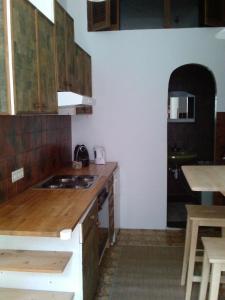 eine Küche mit Holzschränken und einer Arbeitsplatte in der Unterkunft Wohnung in Hernals mit Garten - b48752 in Wien