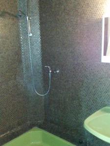 eine Dusche im Bad mit einer grünen Badewanne neben einem Waschbecken in der Unterkunft Wohnung in Hernals mit Garten - b48752 in Wien
