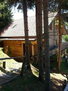 uma cabana de madeira na floresta ao lado de algumas árvores em Almhüttenurlaub in Kärnten mit herrlicher Aussicht auf die Berge - b48725 em Klippitztorl