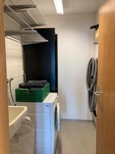 a laundry room with a washing machine and a sink at Ferienwohnung Seehof - b48779 in Rorschacherberg
