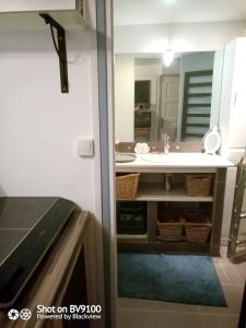 uma casa de banho com um lavatório e um espelho em Appartement d'une chambre avec jardin amenage et wifi a Corbeil Essonnes em Corbeil-Essonnes
